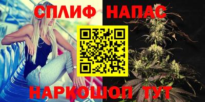 скорость Краснознаменск